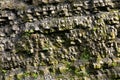 Granite texture in outdoor nature Royalty Free Stock Photo