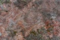 Granite texture red with moss