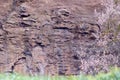 Granite wall and trees in the quarry Royalty Free Stock Photo