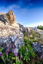 Granitic ridge of Chiroubles, Beaujolais, France Royalty Free Stock Photo