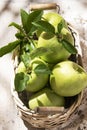 Granny Smith apples in basket. Fresh green fruit on rustic white background Royalty Free Stock Photo