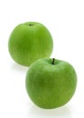 Granny Smith Apples, malus domestica, Fruits against White Background Royalty Free Stock Photo