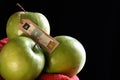 Granny Smith Apples still life Royalty Free Stock Photo