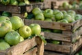 Granny Smith apples in wooden crate at market