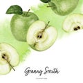 Granny Smith green apple diagonal border composition watercolor hand drawn illustration on watercolor splash background. Royalty Free Stock Photo