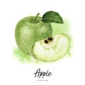 Granny Smith green apple with leaf composition watercolor hand drawn illustration on watercolor splash background. Royalty Free Stock Photo