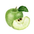 Granny smith green apple watercolor illustration isolated on white background Royalty Free Stock Photo