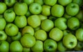 Granny Smith - Green apples Royalty Free Stock Photo