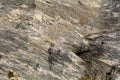 Granodiorite rock texture or background Royalty Free Stock Photo