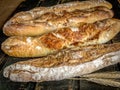 GRANODUR SEMOLA ITALIAN BREAD MADE IN WOOD OVENS