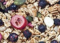 Granola