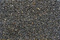 Granola bar. Healthy sweet dessert snack. Black sesame seeds with honey in background, close up Royalty Free Stock Photo