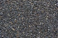 Granola bar. Healthy sweet dessert snack. Black sesame seeds with honey in background, close up Royalty Free Stock Photo