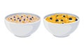 Granola in bowls set. Muesli with blueberry in bowl with milk vector illustration Royalty Free Stock Photo