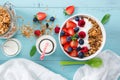 Granola breakfast with berries Royalty Free Stock Photo