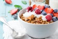 Granola breakfast with berries Royalty Free Stock Photo