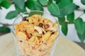 Granola or caramel cornflake with almond Royalty Free Stock Photo