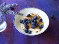 Granola cereal with yoghurt and fresh blueberries