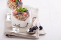 Granola with fresh berries in a blue bowl Royalty Free Stock Photo