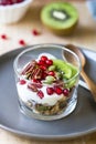 Granola with Greek yogurt ,Kiwi and Pomegranate Royalty Free Stock Photo