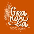 Granola logo organic food vector. Lettering composition and stylized spikelets with grains. Calligraphy. Healthy food