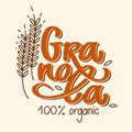 Granola logo vector. Lettering composition, spikelets with grains. Handwritten calligraphy. Healthy snack logotype for