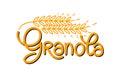 Granola logo vector template. Lettering composition and stylized spikelet with grains. Organic healthy food logotype for