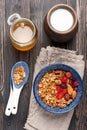 Granola muesli, nuts, honey, dried berries and milk. Royalty Free Stock Photo