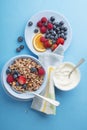 Granola oatmeal with fresh berry fruit and yogurt Royalty Free Stock Photo