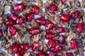 Granola with oatmeal, dried fruit, honey, raisins, chocolate chips, nuts and red pomegranate seeds with yogurt Royalty Free Stock Photo