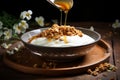 Granola in a plate with yogurt and honey