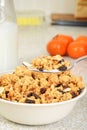 Granola raisin almond cereal on a spoon with milk Royalty Free Stock Photo