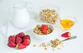 Granola with Strawberries Milk and Honey Breakfast Healthy Food Royalty Free Stock Photo