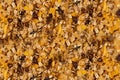 Granola texture - close-up of muesli flakes with raisins, nuts and dried fruits