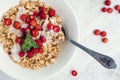 Granola with yoghurt and wild strawberries Royalty Free Stock Photo