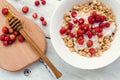 Granola with yoghurt and wild strawberries