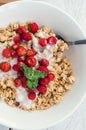 Granola with yoghurt and wild strawberries Royalty Free Stock Photo