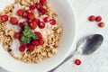 Granola with yoghurt and wild strawberries Royalty Free Stock Photo