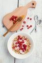 Granola with yoghurt and wild strawberries Royalty Free Stock Photo