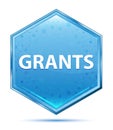 Grants crystal blue hexagon button