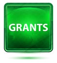 Grants Neon Light Green Square Button Royalty Free Stock Photo