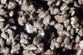 Granular activated carbon for loading into a filter for purifying drinking water close-up, macro photography Royalty Free Stock Photo