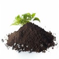 Granular Aquarium Soil Isolated, Natural Substrate, Black Organic Topsoil, Earth with Fertilizers