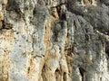 Granular cracked natural limestone rock surface full frame photo. Roe stone rock surface with cracks. Limestone crag texture.