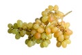 Grape Royalty Free Stock Photo