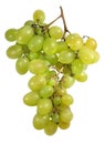 Grape Royalty Free Stock Photo