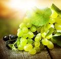 Grape Royalty Free Stock Photo