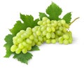 Isolated white grapes