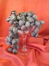 Grape Royalty Free Stock Photo