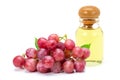 Grapes fruit with grape seed oil Royalty Free Stock Photo